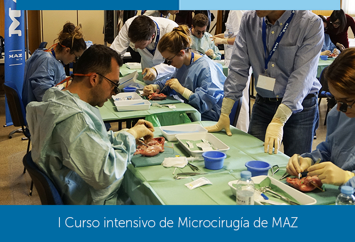 I Curso intensivo de Microcirugía de MAZ