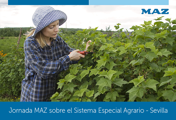 MAZ celebra en Sevilla una jornada sobre el Sistema Especial Agrario