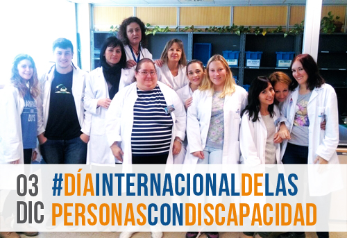 MAZ y Plena Inclusión juntos por la inclusión de las personas discapacitadas en el mundo laboral 