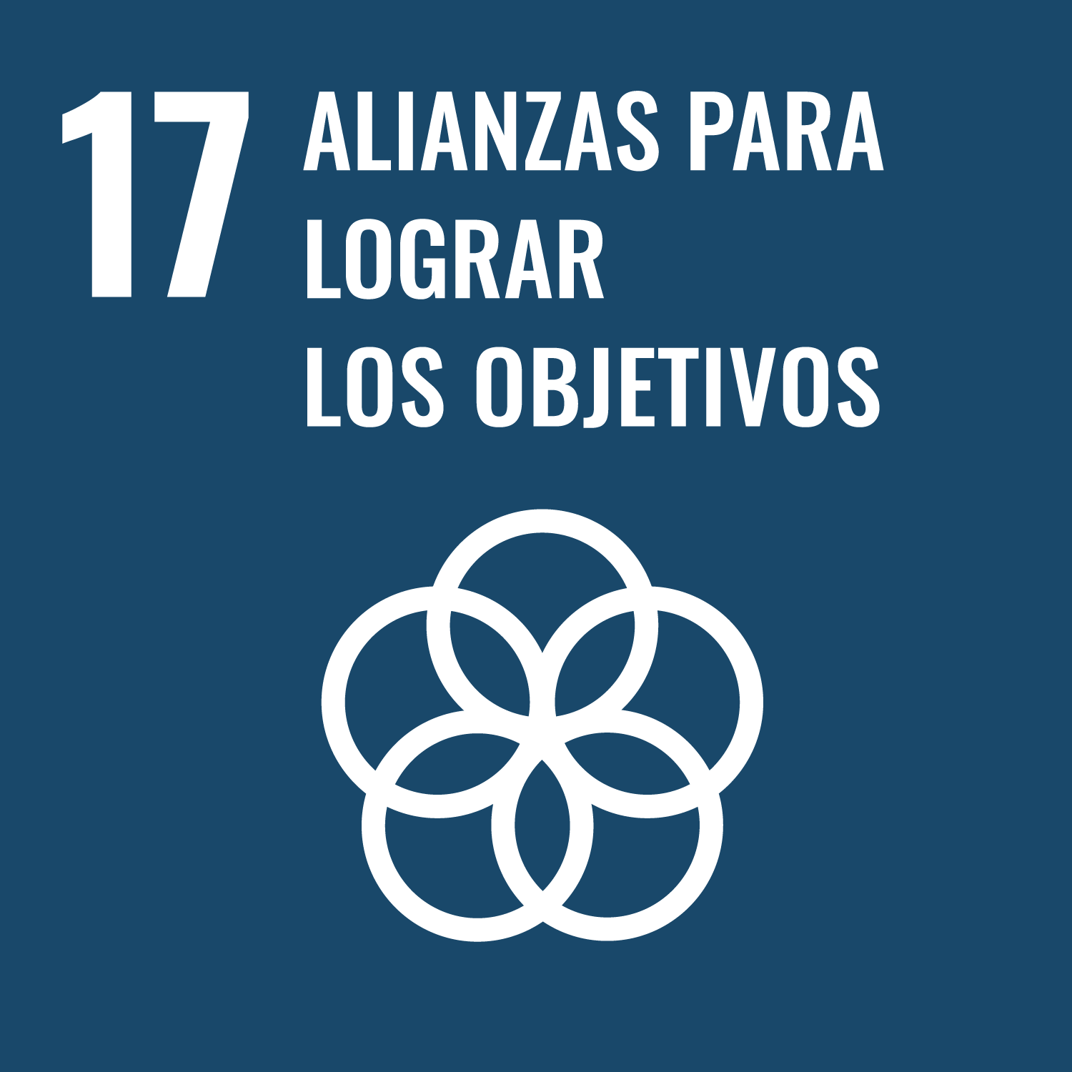 ODS 17 Alianzas para lograr los Objetivos​