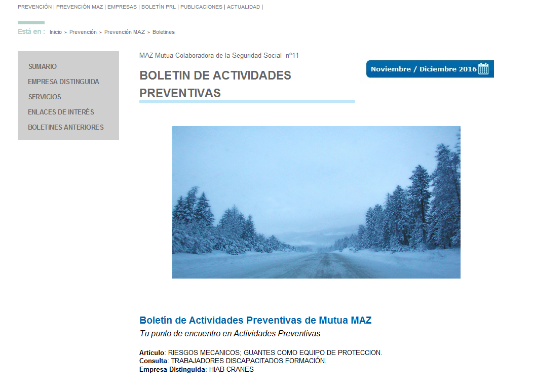 Boletin PRL - Nº 34 - Noviembre 2016